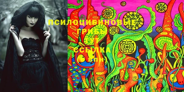 эйфоретик Верея