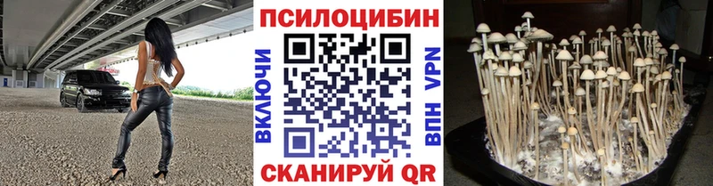 Галлюциногенные грибы Psilocybine cubensis  ссылка на мегу ТОР  Уссурийск 